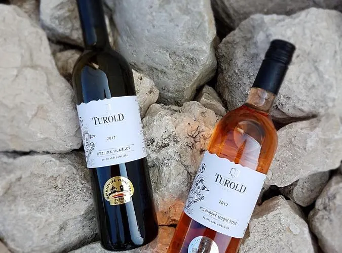 Turold 2 * Mikulov