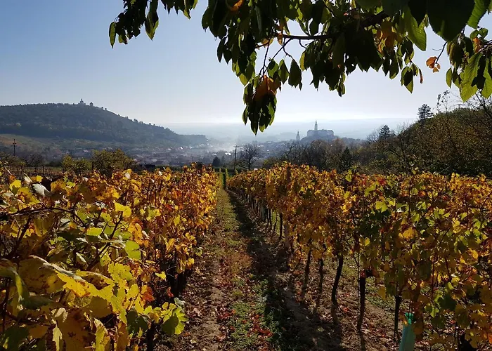 Turold 2 Appartamento